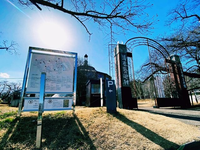 【山梨×清春芸術村】自然とアートが調和する特別な空間