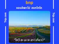อควาเทล คาเฟ่ เชียงราย 