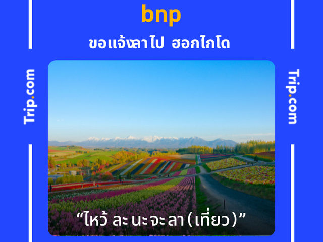 อควาเทล คาเฟ่ เชียงราย 
