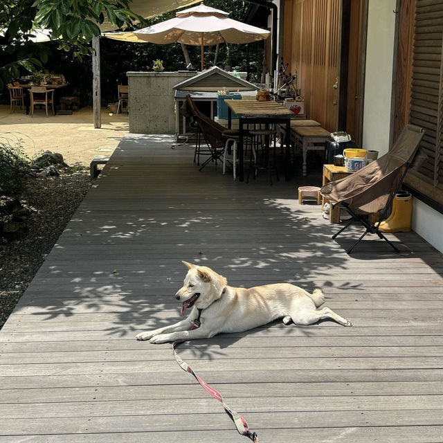 【京都】大自然の中にある韓国料理屋さん