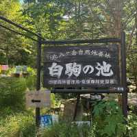 魔法公主般的原始森林-白駒池