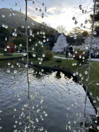 箱根✨ガラスの森美術館✨