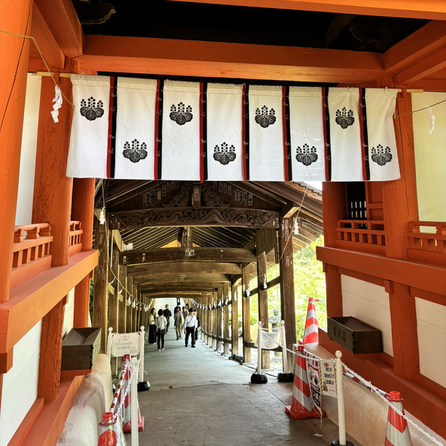 瀨戶內海單車旅行
