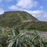 宜蘭郊山小百岳，宛如抹茶巧克力的三角崙山：抹茶山