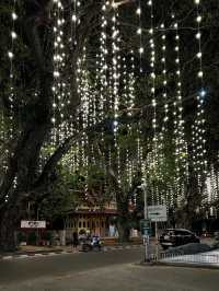Hua Hin’s Glowing trees