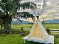 ลานโอบรักแคมป์ปิ้ง & Tree’N Bear Cafe
