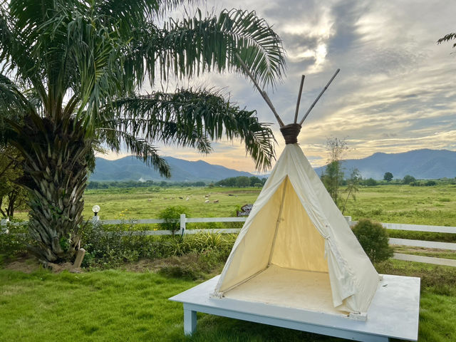 ลานโอบรักแคมป์ปิ้ง & Tree’N Bear Cafe