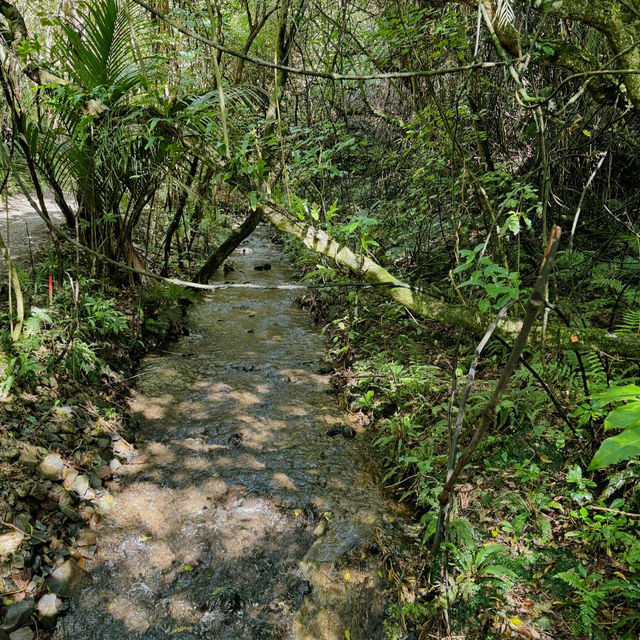 Zealandia Te Māra a Tāne: A Conservation Triumph