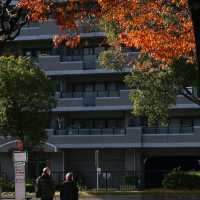 名古屋6日遊攻略