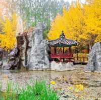 Nami Island: