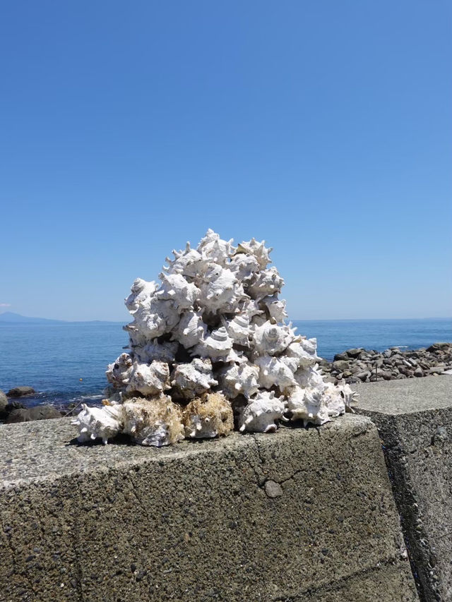 【初島】東京から最短でいける離島🏝️
