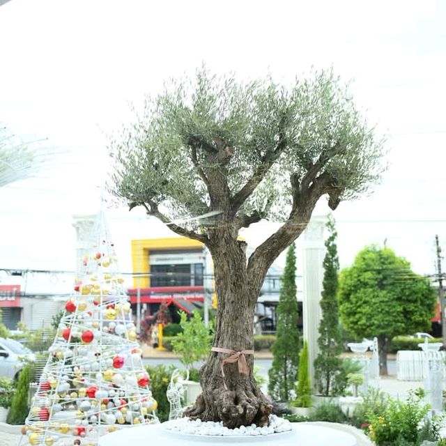 คาเฟ่เปิดใหม่ลพบุรี luxury สุดๆ