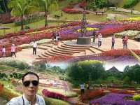 ชมดอกไม้สวยๆ @สวนแม่ฟ้าหลวง