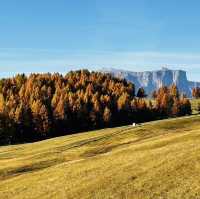 DOLOMITES in AUTUMN 