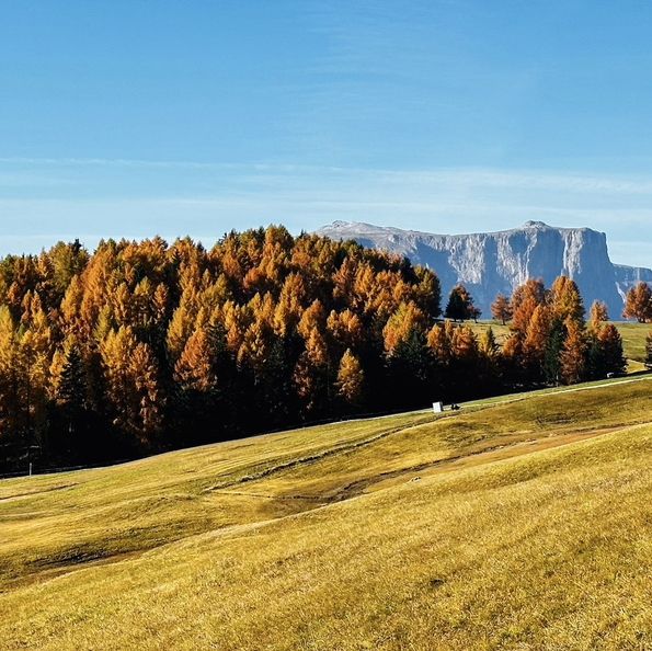 DOLOMITES in AUTUMN 
