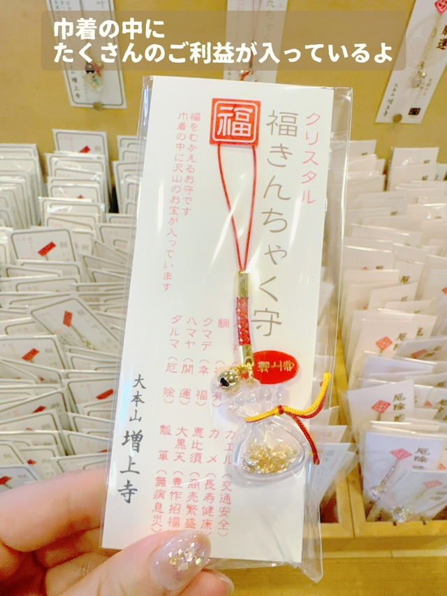 【東京】初詣にもおすすめ🤍勝ちたい時に行きたい!!徳川家康のパワーを貰おう