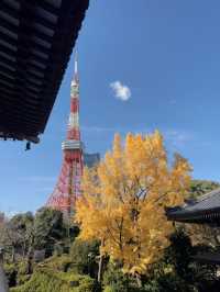 【東京】初詣にもおすすめ🤍勝ちたい時に行きたい!!徳川家康のパワーを貰おう
