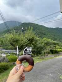 🇯🇵坐別府纜車🚡登上鶴見岳飽覽別府景色