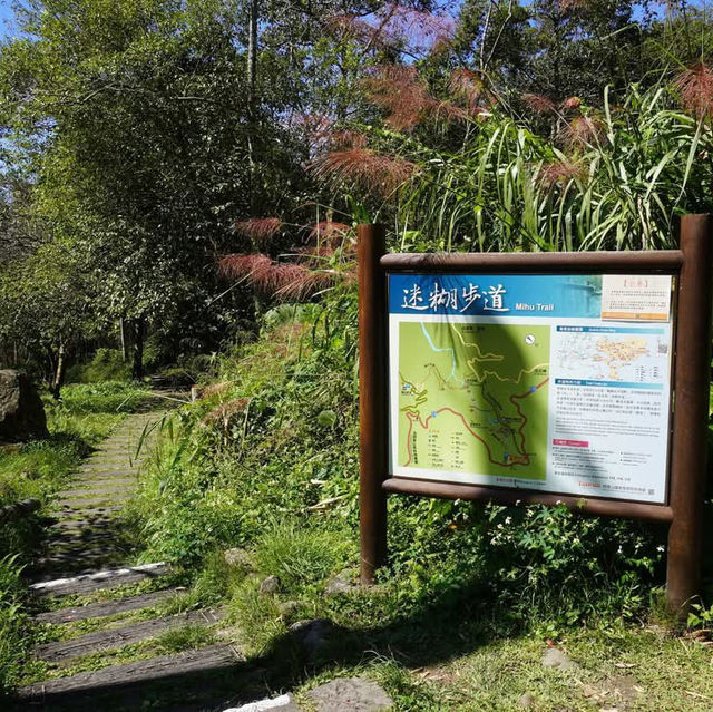 阿里山鄉迷糊步道