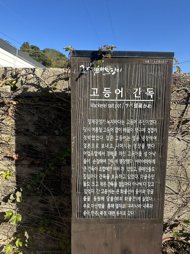 환상의 섬, 욕지도에 다녀오다! 🏝️