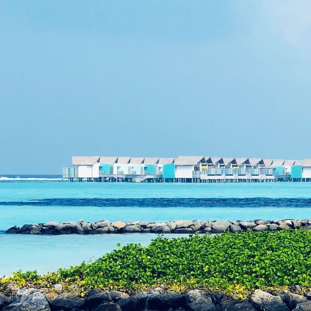 渡假島～Crossroads Maldives