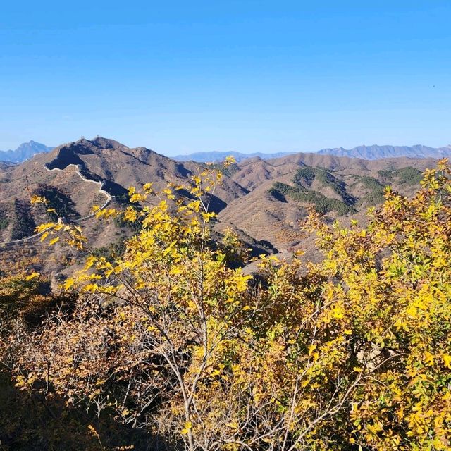 ฤดูที่สวยที่สุดของปักกิ่ง🍂