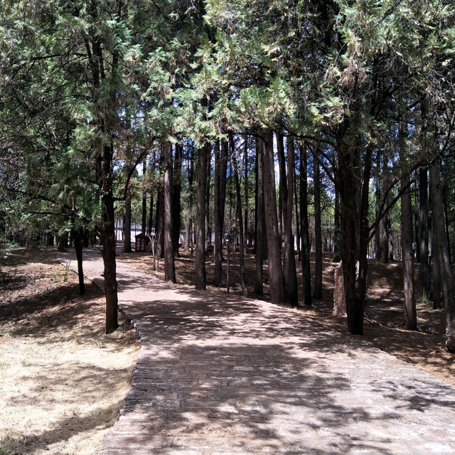 Lijiang’s Hidden Gem: A Day at Lion Hill and Wangu Tower