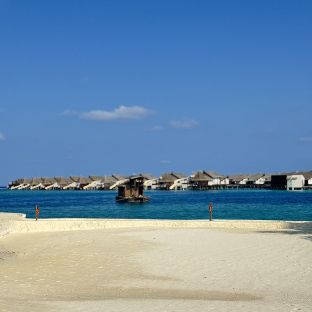 Ozen in Maldive . Eat , drink , Relax 