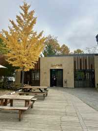 Swing Cafe