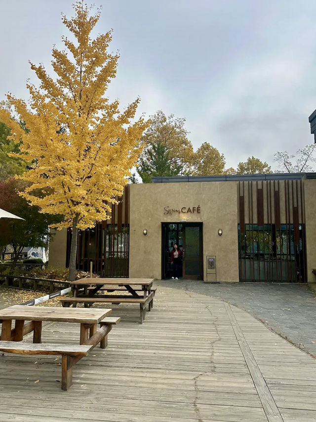Swing Cafe