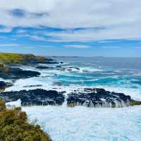 Phillip Island, located just off the coast 