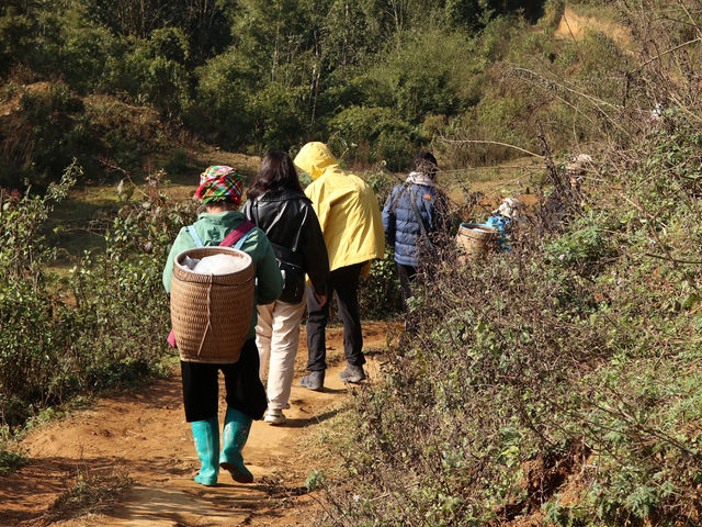 Trekking Through the Breathtaking Rice Terraces of Sapa, Vietnam