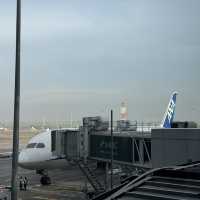 Experience flying All Nippon Airways