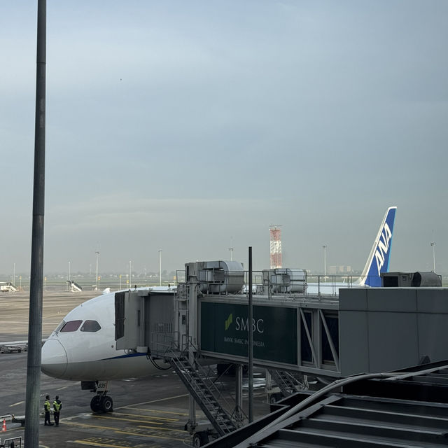 Experience flying All Nippon Airways