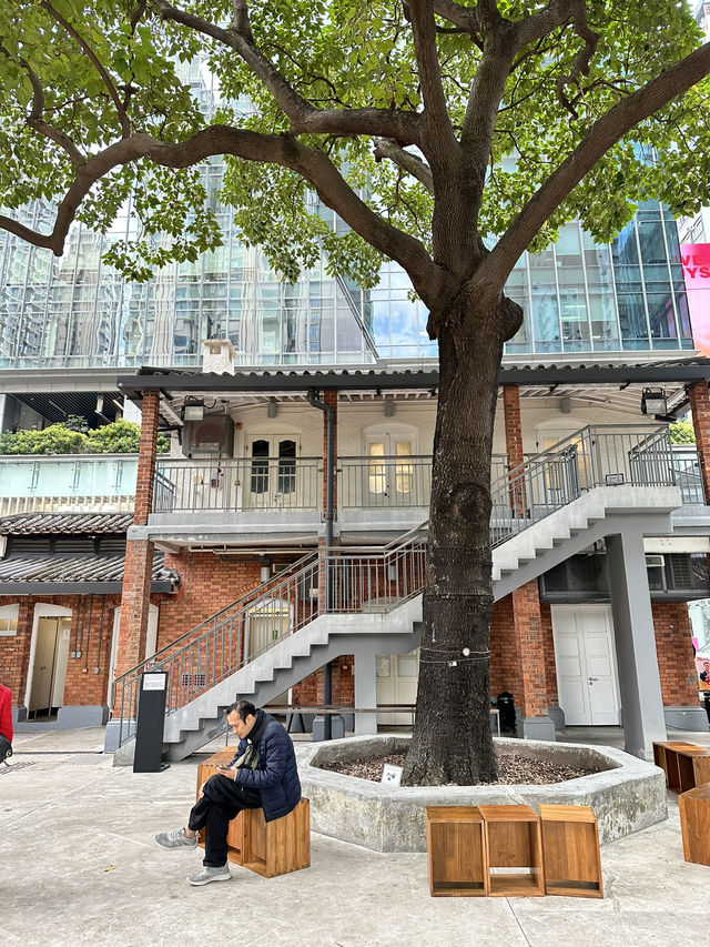 🇭🇰 鬧市中的古老建築，有小植物園草地，還可以睡覺🤣