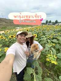 พาน้องหมาเที่ยวเล่นทุ่งทานตะวัน🌻