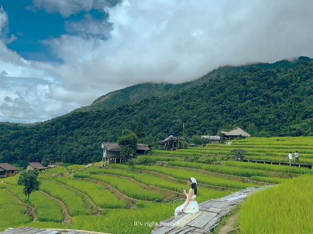 บ้านป่าบงเปียง ทุ่งนาขั้นบันไดสวยที่สุด🌾💚
