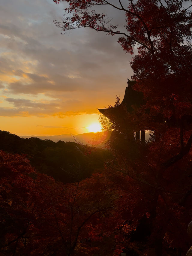 Sunset at Kiyomizudera: A Dreamy Autumn Experience in Kyoto