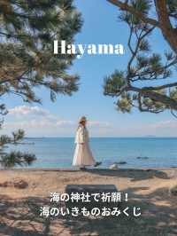 【葉山観光スポット】森戸大明神で海フォト&おみくじで良運祈願