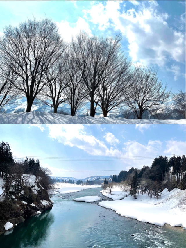 【新潟×初春の旅】「食・美術・歴史・自然」を楽しめる道の駅  魚沼産コシヒカリは最高！