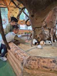 PAW Pet Animal World Nagasaki
