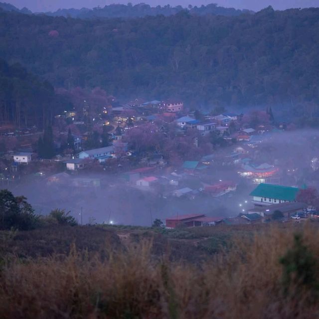 ลานกางเต็นท์ไร่ลมหนาว  บ้านร่องกล้าพิษณุโลก