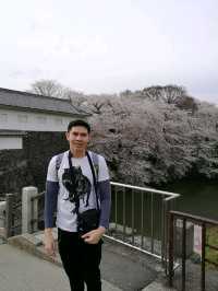 yamagata castle