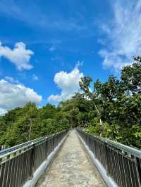 A Mindful Escape in Yishun: Tea, Nature, and a Moment of Stillness