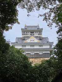 Gifu Castle