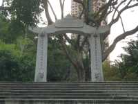 Heart of Hong Kong: A City Center Adventure