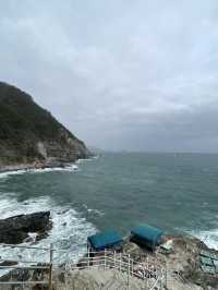 釜山｜考驗腳力的太宗台 與影島的貓咪們相遇