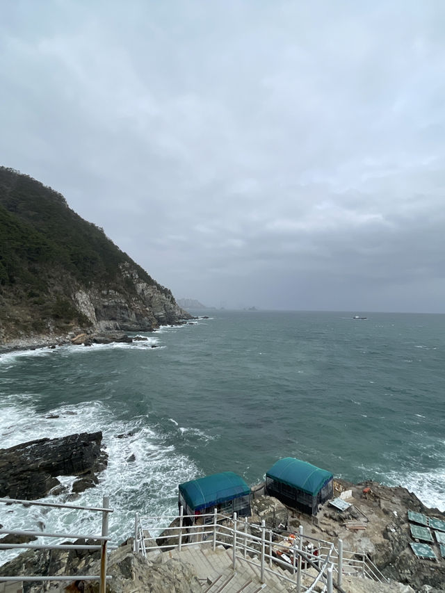 釜山｜考驗腳力的太宗台 與影島的貓咪們相遇