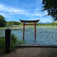 薦神社（大貞八幡宮）