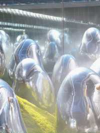 體驗「人與展區」無界線》豐洲teamlab!